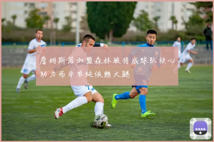 詹姆斯若加盟森林狼将成球队核心助力而非单纯依赖大腿