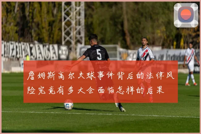 詹姆斯高尔夫球事件背后的法律风险究竟有多大会面临怎样的后果