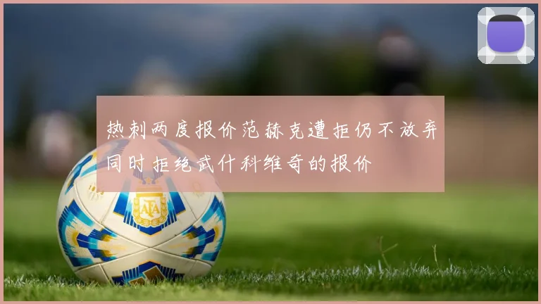 热刺两度报价范赫克遭拒仍不放弃同时拒绝武什科维奇的报价